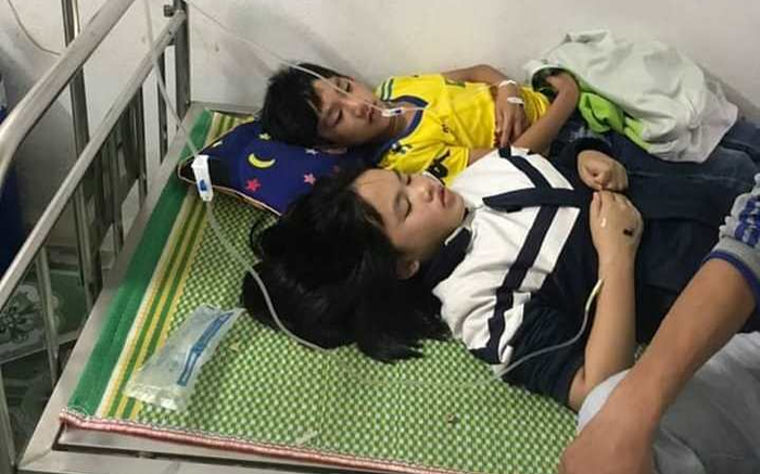 Nghệ An: 16 học sinh bị ong đốt phải nhập viện Ảnh 2