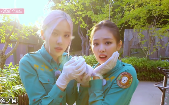 Blackpink gây nguy hiểm cho bé gấu trúc độc nhất ở Hàn khiến dân tình phẫn nộ Ảnh 2