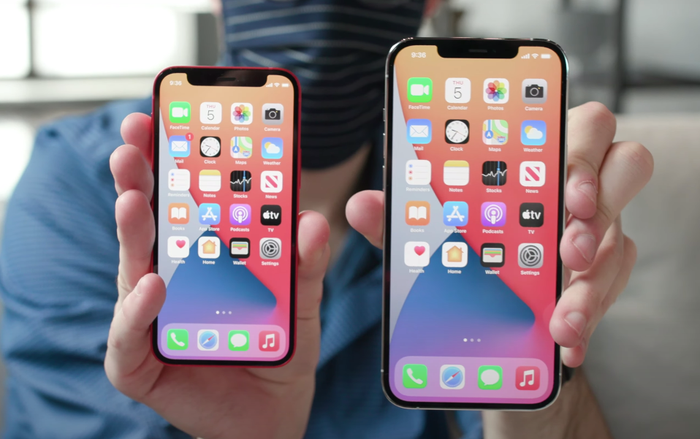 Tóm lại là iPhone 12 mini nhỏ ra sao còn iPhone 12 Pro Max lớn cỡ nào? Ảnh 2