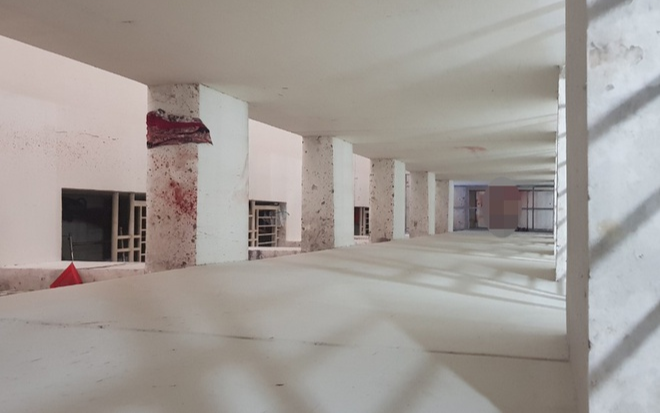 Vụ phát hiện thi thể phụ nữ lìa đầu ở chung cư: Nghi tự tử do trầm cảm Ảnh 2