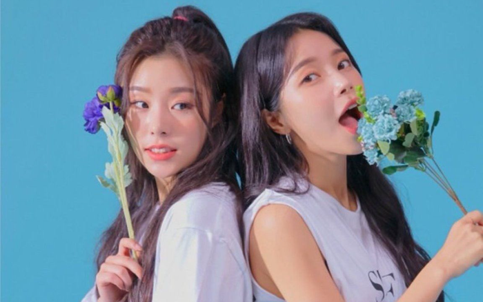 Wheein và Solar (Mamamoo) từng ngất vì uống thuốc giảm cân Ảnh 2