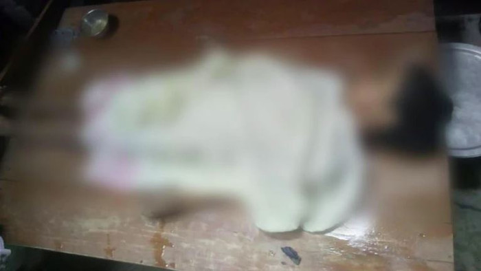 Thi thể của bé gái bị bố chôn trong nhà.