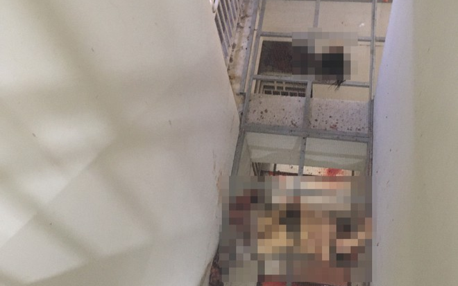 Vụ phát hiện thi thể phụ nữ lìa đầu ở chung cư: Nạn nhân mắc bệnh trầm cảm từ năm 2013 Ảnh 2