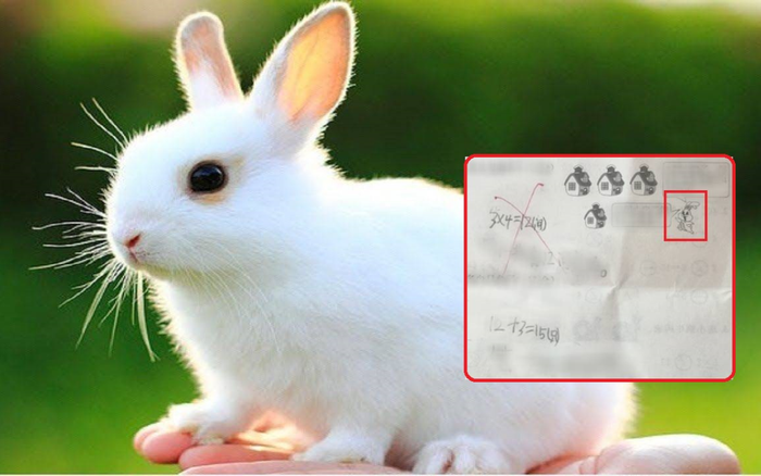 '4 nhà, mỗi nhà có 4 con thỏ' nhưng đáp án 16 lại sai, sự thật sau đó khiến phụ huynh ngã ngửa Ảnh 2