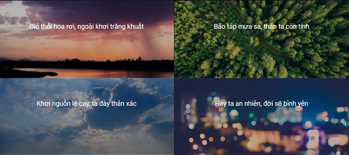 Hình ảnh trên website của bộ phim