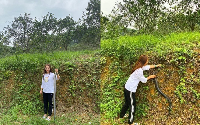 Cô gái xinh đẹp tay không bắt rắn hổ mang khiến dân mạng khiếp sợ: 'Mang về cho bố ngâm rượu' Ảnh 2