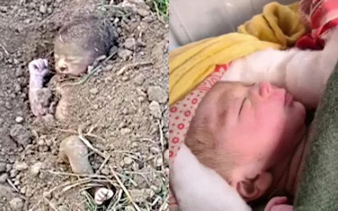 Giải cứu bé sơ sinh bị chôn sống ở trang trại Ảnh 2