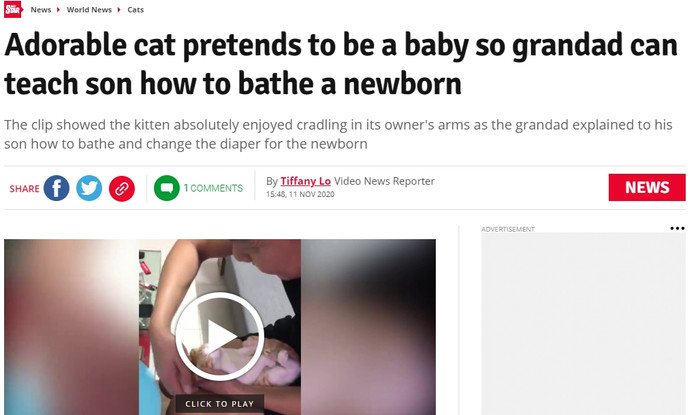 Tờ Dailystar viết về đoạn clip chú mèo Lạc Lạc đóng vai trẻ sơ sinh.