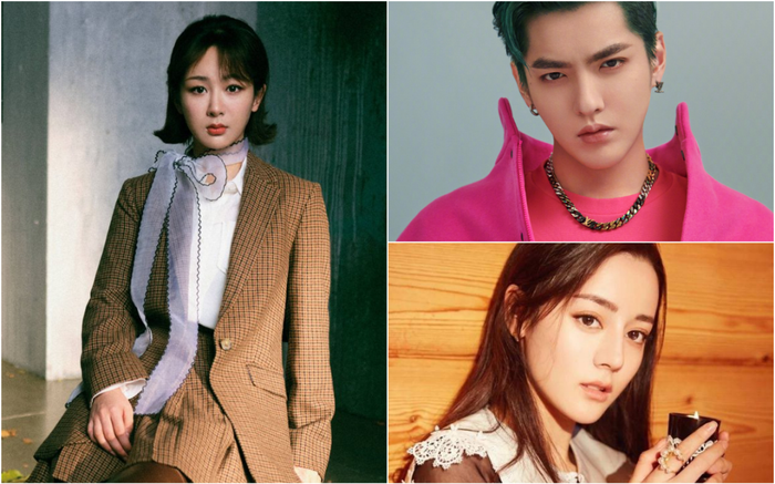 Dương Tử 'khá giả' thêm nhờ vụ kiện fan của Ngô Diệc Phàm, fan Địch Lệ Nhiệt Ba kiện fan Dương Tử Ảnh 2