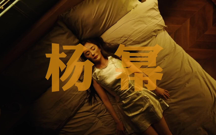 Dương Mịch: Mọi người đều gọi tôi là cô gái hoàn hảo... Ảnh 2