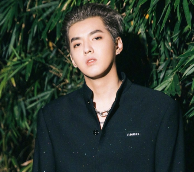 Top 10 minh tinh Hoa Ngữ có giá trị thương mại cao nhất trong ngày 11/11: Tiêu Chiến áp chót Ảnh 7