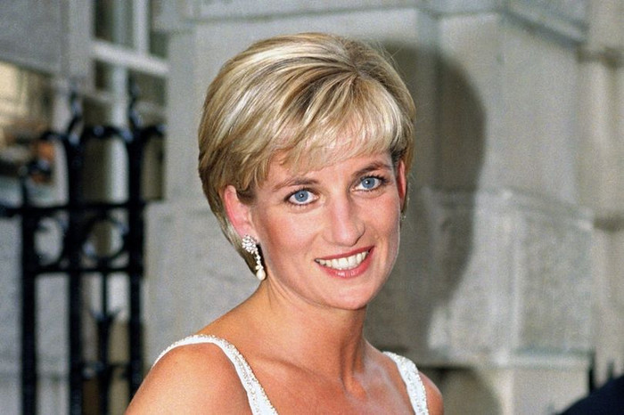 Công nương Diana 'sẽ làm mọi thứ' để cứu vãn tình anh em của William và Harry Ảnh 4