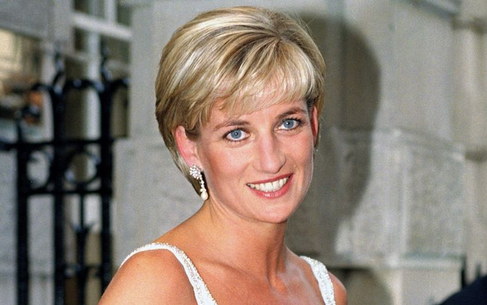 Công nương Diana 'sẽ làm mọi thứ' để cứu vãn tình anh em của William và Harry Ảnh 2