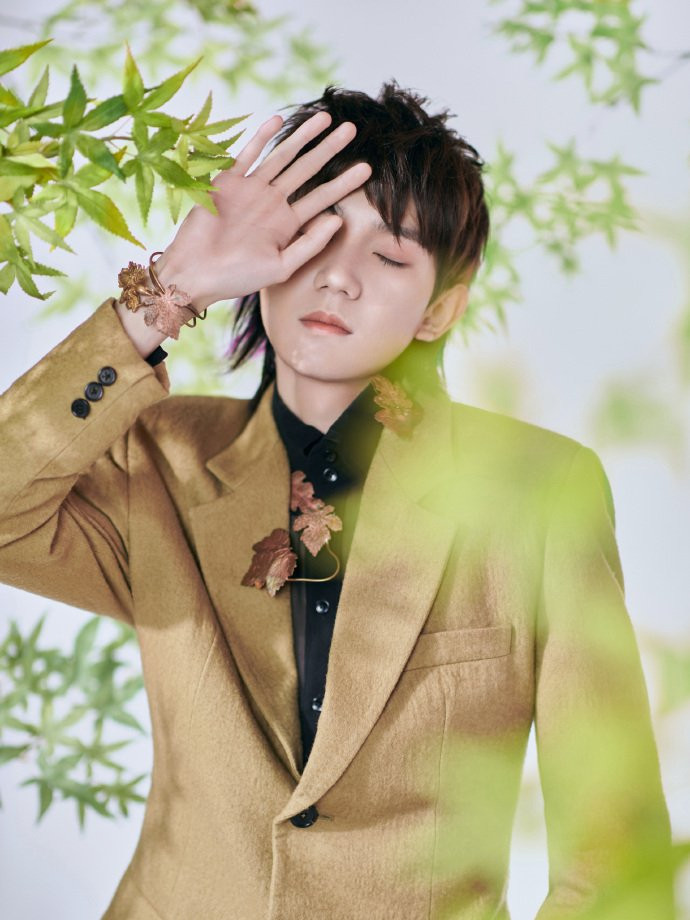 Vương Nguyên (TFBoys) - Hệ thống ngôn ngữ gặp chút 'vấn đề' Ảnh 8