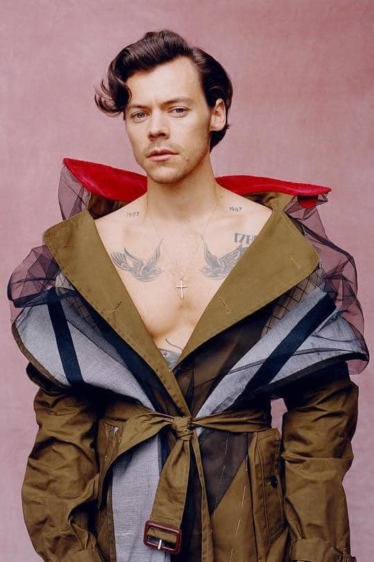 Hot Boy đình đám của nhóm One Direction chọn con đường thời trang phi giới tính không phân biệt nam hay nữ 