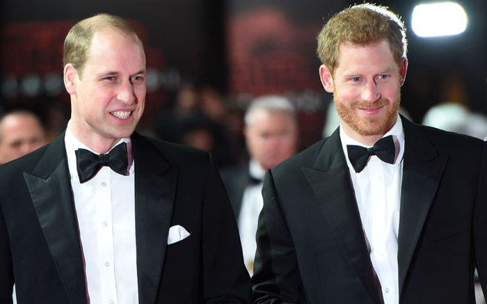 Harry bất mãn vì bị xem là 'kẻ nổi loạn thừa thãi' khi so sánh với William Ảnh 2