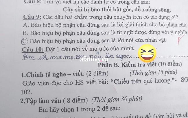 Nhận đề bài 'nói về ước mơ của mình', học trò lớp 4 viết một câu khiến phụ huynh phải ngượng chín mặt Ảnh 1