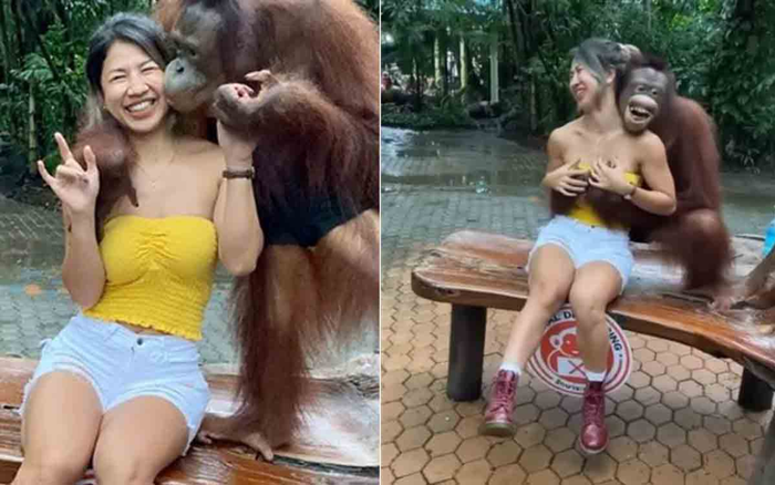 Clip: Thản nhiên ôm hôn, sàm sỡ 'vòng 1' của gái xinh, đười ươi còn nhe răng cười nhăn nhở Ảnh 2