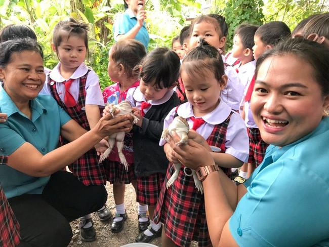 Học trò hào hứng với buổi ngoại khóa ở trại ếch, loạt ảnh cuối ghi lại kết cục bất ngờ của loài lưỡng cư Ảnh 7