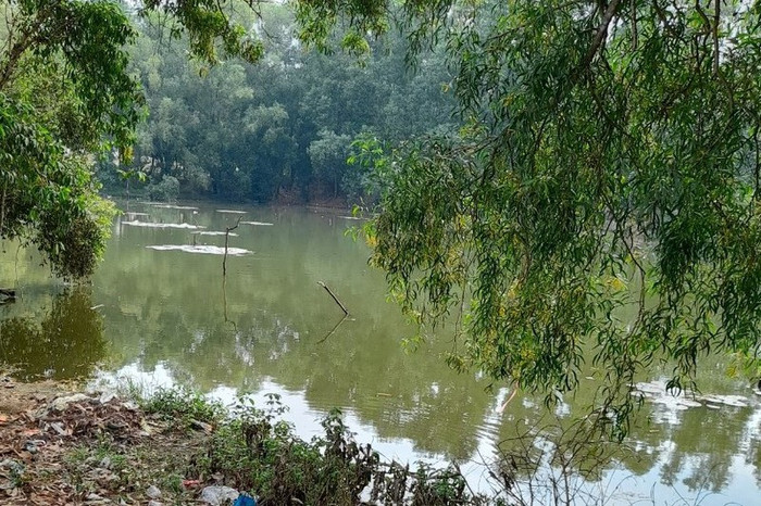 Khu vực ao nước nơi xảy ra sự việc. Ảnh: PLO