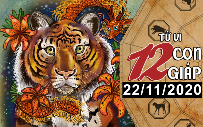Tử vi chủ nhật ngày 22/11/2020 của 12 con giáp: Dần có quý nhân soi đường chỉ lối, Dậu vượng vận đào hoa Ảnh 2