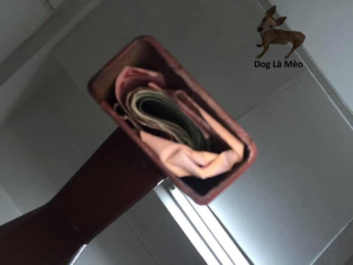 Qũy đen của anh chồng bị phát hiện.