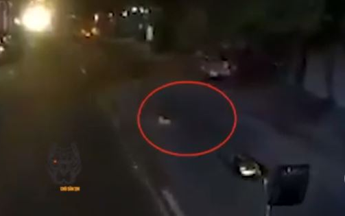 Clip: Thấy đứa trẻ bò ra đường ngay trước đầu xe container, hành động của tài xế được khen ngợi hết lời Ảnh 2