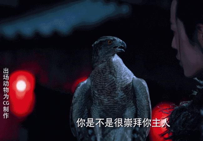 Đoàn phim 'Lang điện hạ' bị tố hành hạ đại bàng nhưng Tiêu Chiến lại hứng chịu chỉ trích Ảnh 6