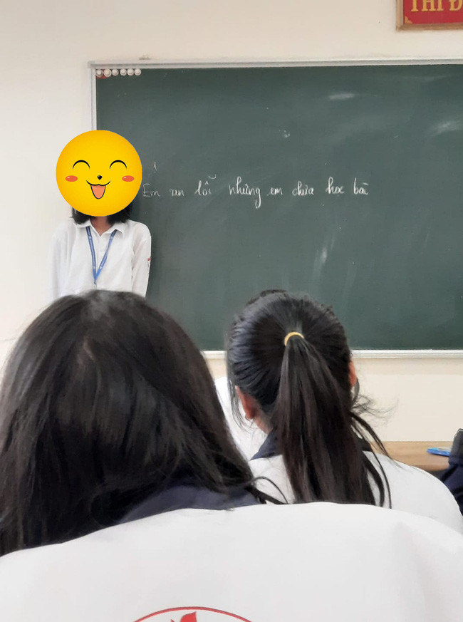 Nữ sinh thẳng thắn thừa nhận chưa học bài và xin lỗi giáo viên.