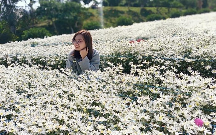 Có một ngôi trường được mệnh danh đẹp nhất Hà Nội, cả 4 mùa các loài hoa đua nhau khoe sắc Ảnh 2