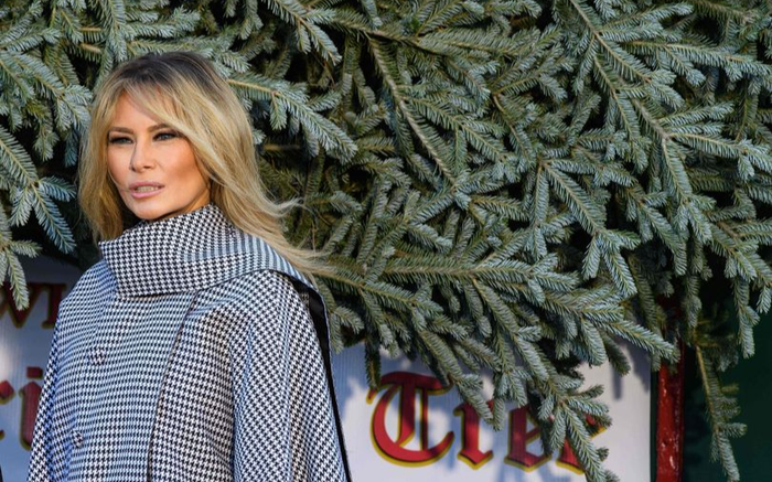 Bà Melania Trump khoe màu tóc vàng mới khi đón cây Giáng sinh Ảnh 2