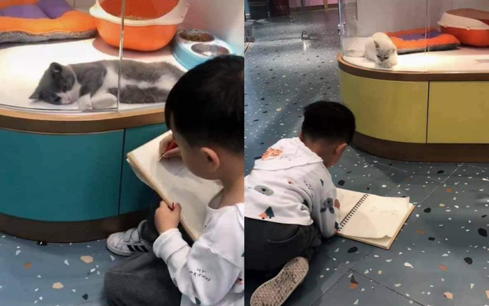 Bé trai lăn lộn cả tiếng ngắm chú mèo để vẽ lại vào tranh, thành quả khiến mọi người 'cười ra nước mắt' Ảnh 2