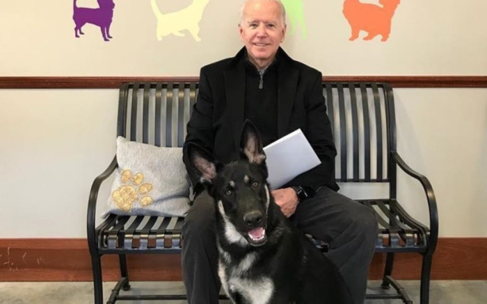 Joe Biden bị ngã rạn xương bàn chân trong lúc chơi đùa với chó cưng Ảnh 2