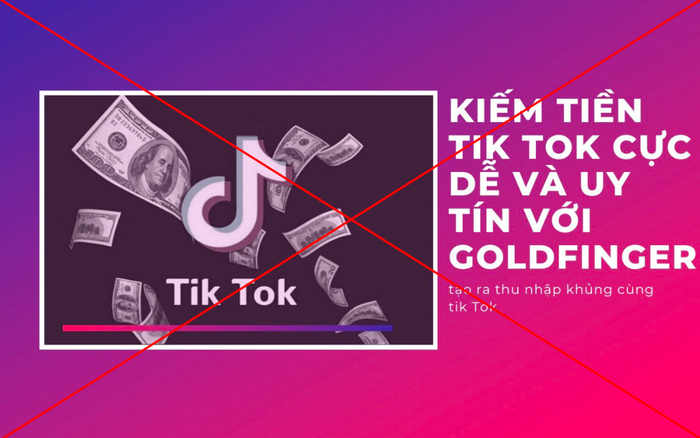 Tin lời mời gọi 'like dạo' trên TikTok để kiếm tiền, hàng ngàn người Việt sập bẫy Ảnh 2