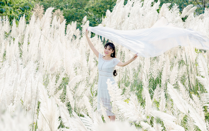 Cánh đồng cỏ lau ở Hà Nội đã vào mùa khoe sắc trắng, đẹp đến ngỡ ngàng Ảnh 2