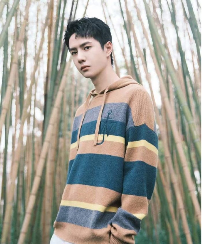 Vương Nhất Bác muốn hợp tác với 'Ảnh hậu', tương lai sẽ đi theo con đường của Dịch Dương Thiên Tỉ? Ảnh 3