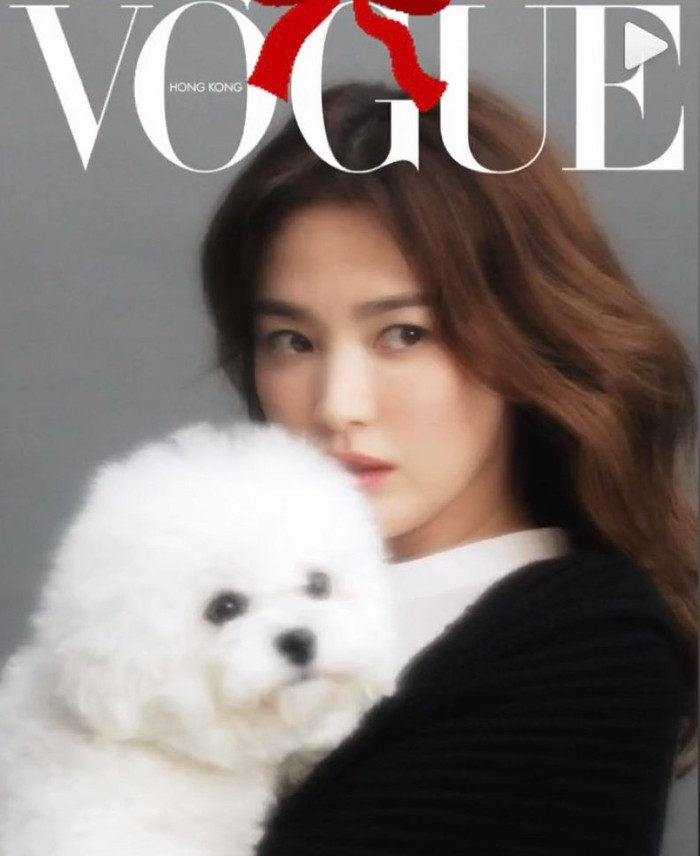 Dù ly hôn hay tái hôn, Song Hye Kyo vẫn hot nhất Hàn Quốc: 'Chị sợ quá cơ!' Ảnh 5