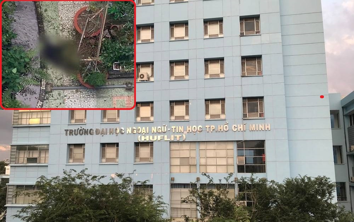 Cựu sinh viên rơi từ tầng 6 xuống đất tử vong, ĐH Ngoại ngữ - Tin học TP HCM nói gì? Ảnh 2