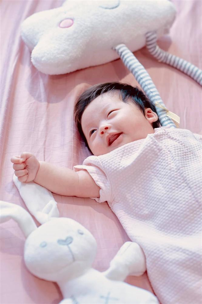 Pha Lê 'dằn mặt' khi bị dân mạng hỏi: Chỉ là kiếp đẻ thuê? Ảnh 5