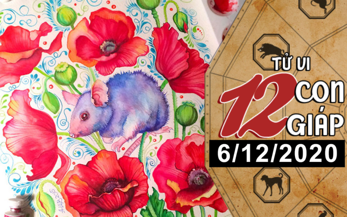 Tử vi chủ nhật ngày 6/12/2020 của 12 con giáp: Tý dễ bị lừa gạt, Thìn có khả năng được tăng lương Ảnh 2