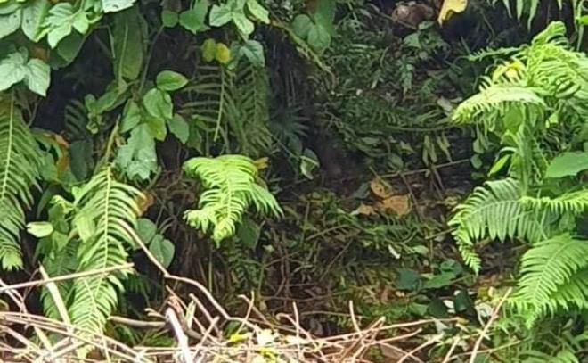 Nơi phát hiện thi thể Đỗ Xuân Hải. Ảnh: G.T