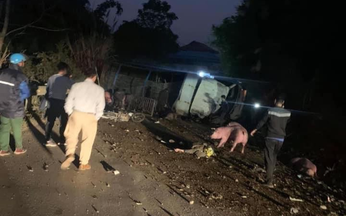 Xe chở lợn tông 2 bố con tử vong, quốc lộ 3 ách tắc cục bộ Ảnh 2