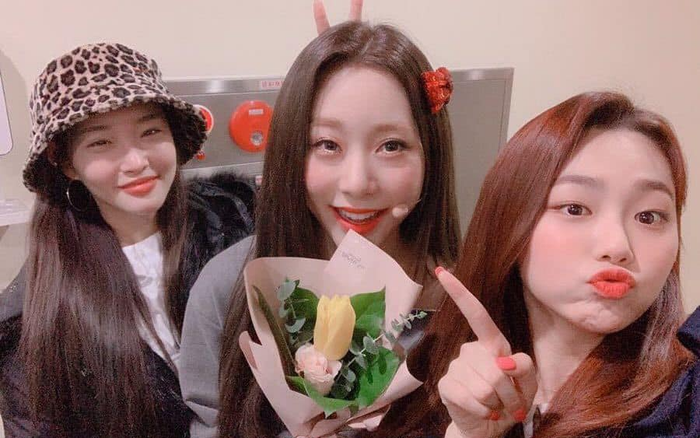 Hàng loạt nghệ sĩ phải tiến hành xét nghiệm Covid-19 vì có tiếp xúc với Chungha thời gian gần đây Ảnh 2