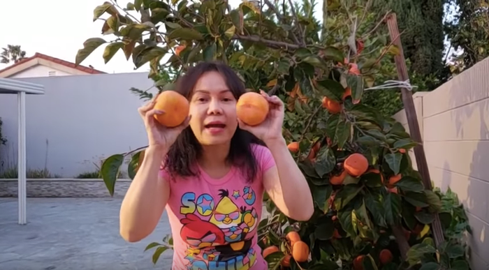 Choáng ngợp biệt thự triệu đô của sao Việt trên đất Mỹ, xa hoa rộng rãi đủ cho cả 1 dòng họ Ảnh 13