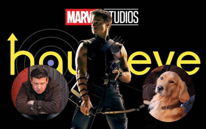 Kẻ chiếm spotlight nhất series 'Hawkeye' không phải nhân vật chính mà là chú chó 