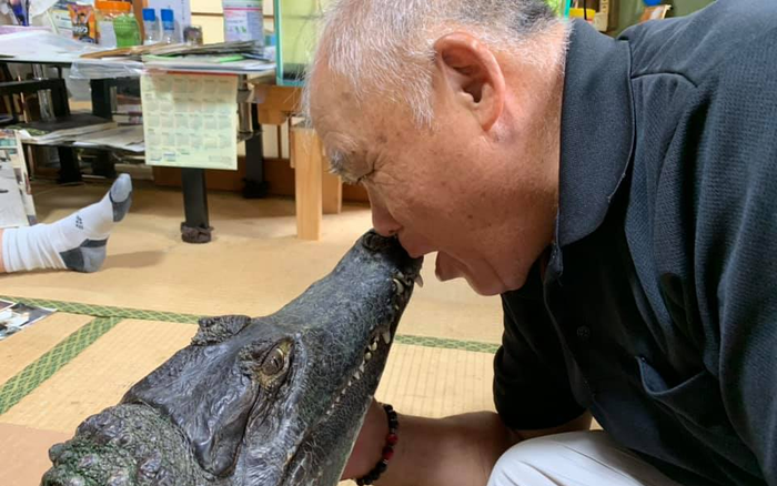 Người đàn ông nuôi cá sấu trong nhà suốt 39 năm, quý như thú cưng Ảnh 2