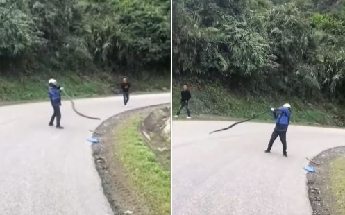 Clip: Người đàn ông quay rắn hổ mang chúa gần 20 vòng, hành động sau cùng khiến nhiều người kinh hãi Ảnh 2