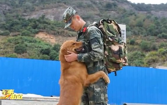 Cuộc chia ly rơi nước mắt của chú chó nghiệp vụ và anh lính giải ngũ Ảnh 2