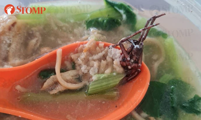 Tan la hét và nôn mửa khi phát hiện con gián trong tô mì.