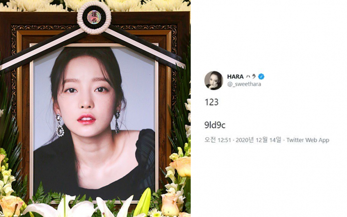 Dù đã mất, tài khoản Twitter của Goo Hara vẫn bị hack? Ảnh 2